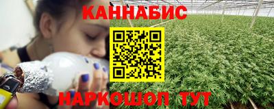 прущие крисы Кимры