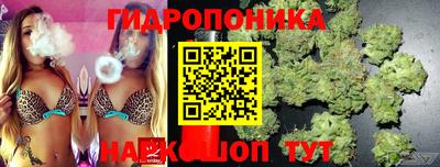 прущие крисы Кимры