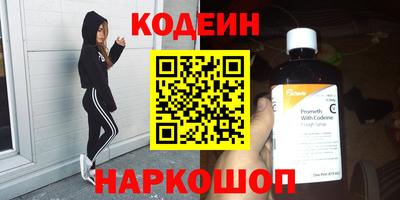 МДПВ Кингисепп