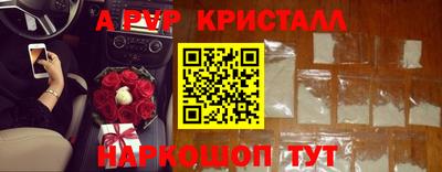 МДПВ Кингисепп