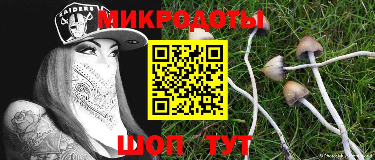 Галлюциногенные грибы ЛСД  Вход с VPN  Кузнецк 