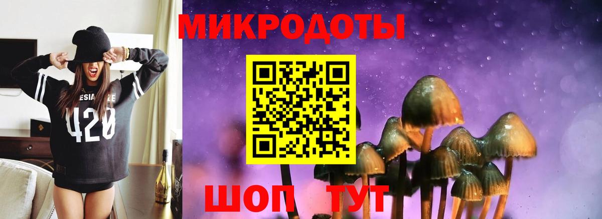 Псилоцибиновые грибы мухоморы Кузнецк